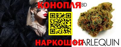 крисы Бузулук