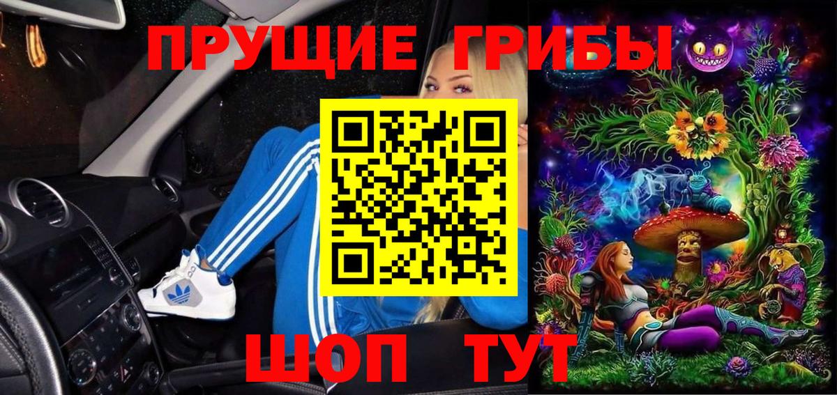 Галлюциногенные грибы Psilocybe Краснотурьинск
