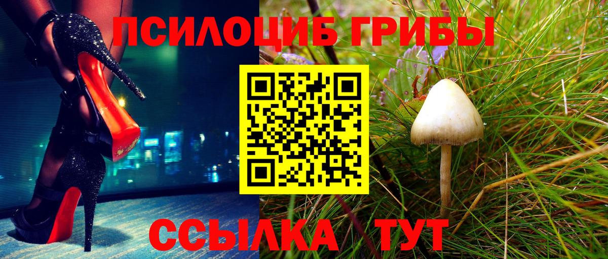 Краснотурьинск  ГАШ  МАРИХУАНА  Вход с VPN  ТГК  ГАШИШ  Меф МЯУ МЯУ кристаллы 